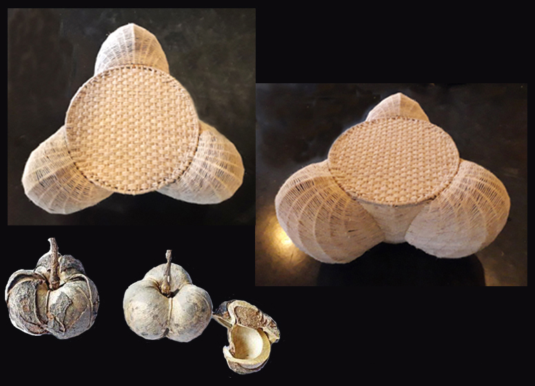 Seat' Inspired by Rubber Tree Seed Pod for Nambeeiar Residence- Kerala- 2020